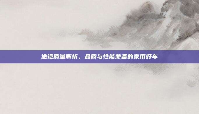 途铠质量解析，品质与性能兼备的家用好车