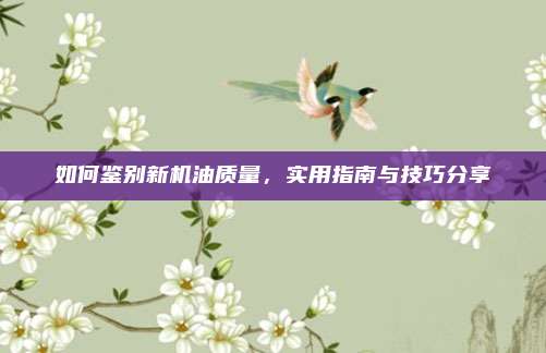 如何鉴别新机油质量,实用指南与技巧分享