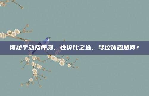 博越手动挡评测,性价比之选,驾控体验如何?