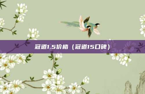 冠道1.5价格（冠道15口碑）