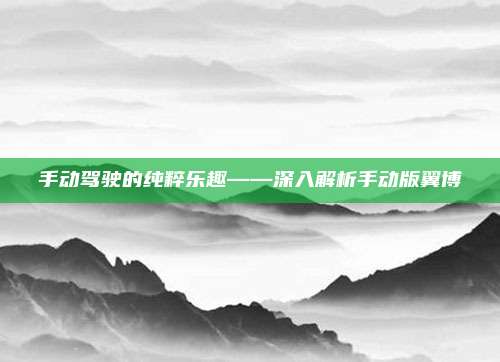 手动驾驶的纯粹乐趣——深入解析手动版翼博