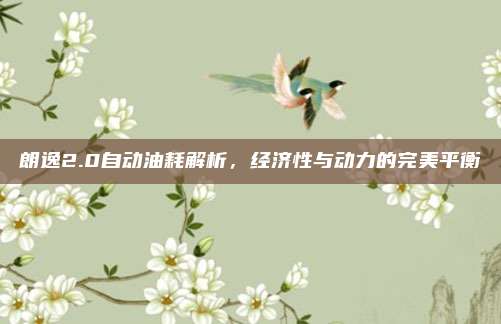 朗逸2.0自动油耗解析,经济性与动力的完美平衡