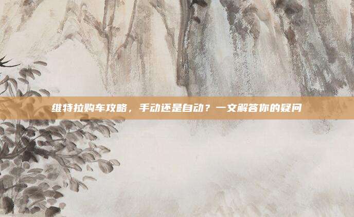 维特拉购车攻略,手动还是自动?一文解答你的疑问