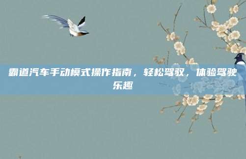 霸道汽车手动模式操作指南,轻松驾驭,体验驾驶乐趣