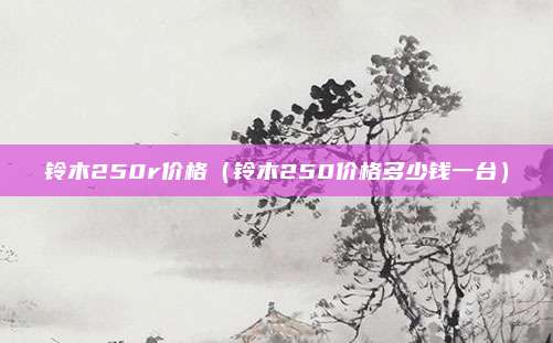 铃木250r价格（铃木250价格多少钱一台）