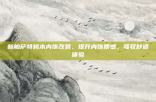 新帕萨特桃木内饰改装,提升内饰质感,驾驭舒适体验