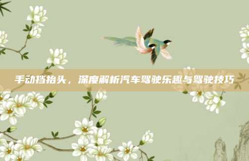 手动挡抬头,深度解析汽车驾驶乐趣与驾驶技巧