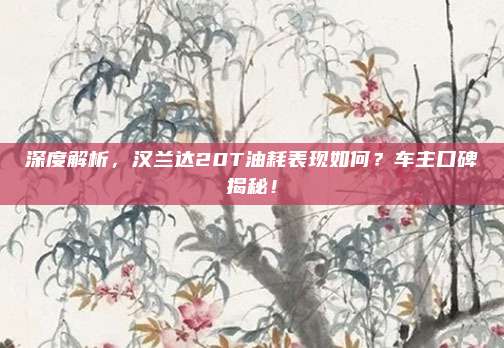 深度解析,汉兰达20T油耗表现如何?车主口碑揭秘!