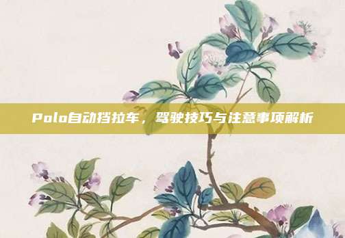 Polo自动挡拉车,驾驶技巧与注意事项解析