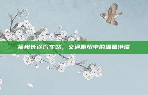 福州长途汽车站,交通枢纽中的温馨港湾