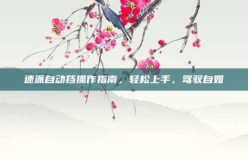 速派自动挡操作指南,轻松上手,驾驭自如