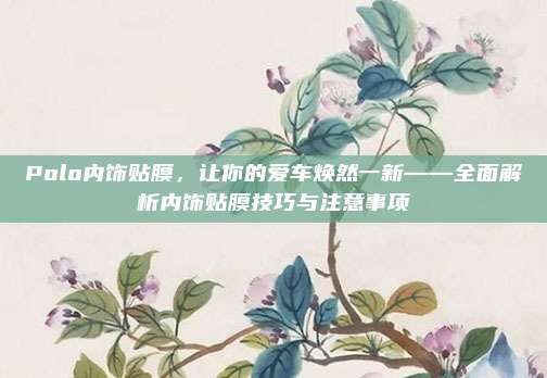 Polo内饰贴膜,让你的爱车焕然一新——全面解析内饰贴膜技巧与注意事项