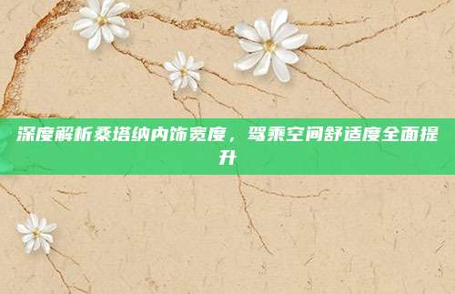 深度解析桑塔纳内饰宽度,驾乘空间舒适度全面提升