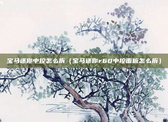 宝马迷你中控怎么拆（宝马迷你r60中控面板怎么拆）