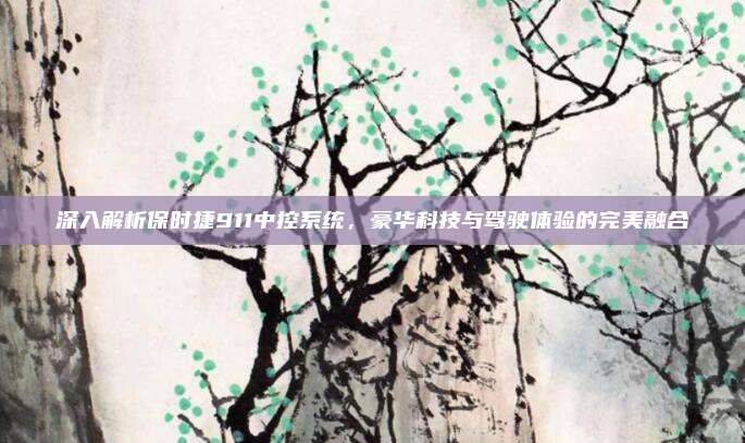 深入解析保时捷911中控系统,豪华科技与驾驶体验的完美融合