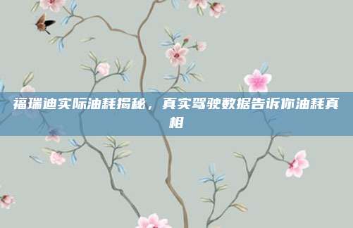 福瑞迪实际油耗揭秘，真实驾驶数据告诉你油耗真相