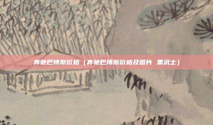 奔驰巴博斯价格（奔驰巴博斯价格及图片 黑武士）