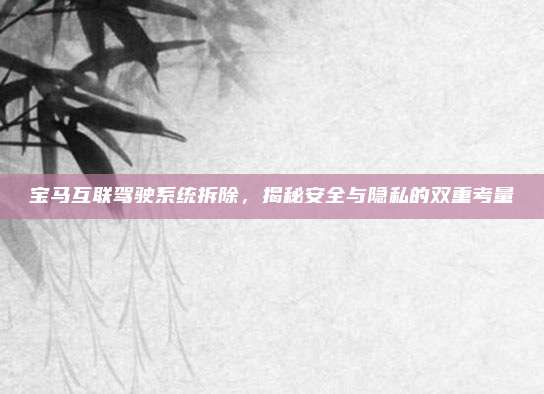 宝马互联驾驶系统拆除,揭秘安全与隐私的双重考量