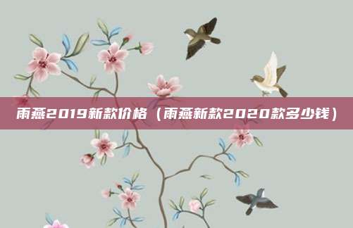 雨燕2019新款价格(雨燕新款2020款多少钱)