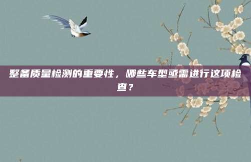 整备质量检测的重要性，哪些车型亟需进行这项检查？
