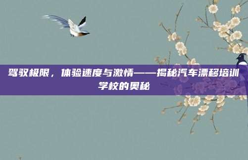 驾驭极限,体验速度与激情——揭秘汽车漂移培训学校的奥秘