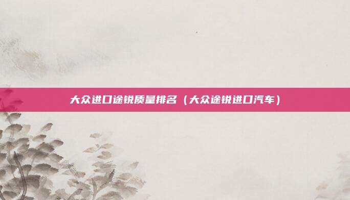 大众进口途锐质量排名（大众途锐进口汽车）
