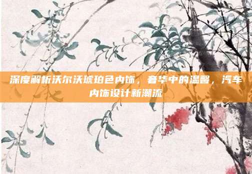 深度解析沃尔沃琥珀色内饰,奢华中的温馨,汽车内饰设计新潮流
