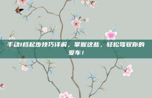 手动1档起步技巧详解,掌握这些,轻松驾驭你的爱车!