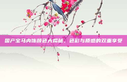 国产宝马内饰颜色大揭秘,色彩与质感的双重享受