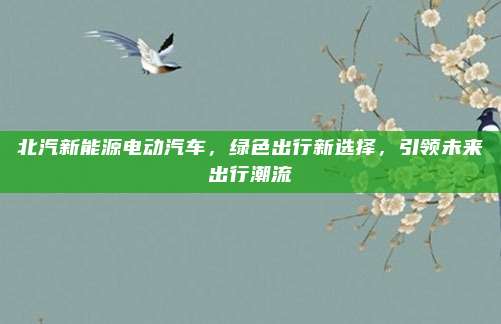 北汽新能源电动汽车,绿色出行新选择,引领未来出行潮流