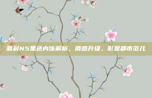 夏利N5黑色内饰解析，质感升级，彰显都市范儿