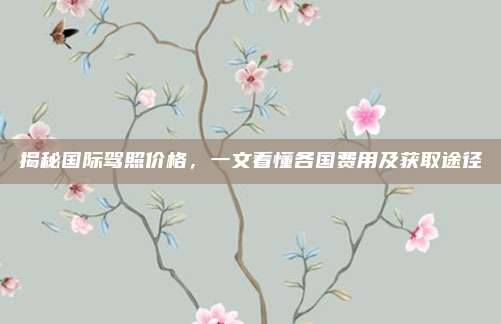 揭秘国际驾照价格,一文看懂各国费用及获取途径