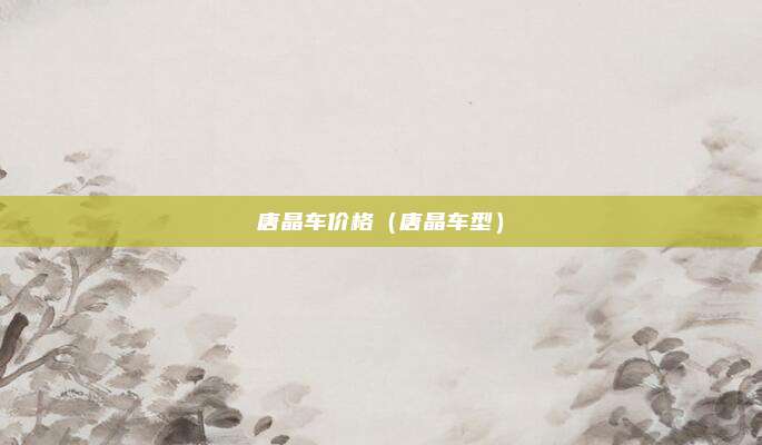 唐晶车价格（唐晶车型）
