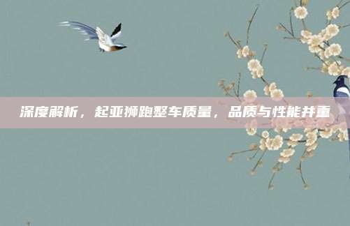 深度解析,起亚狮跑整车质量,品质与性能并重
