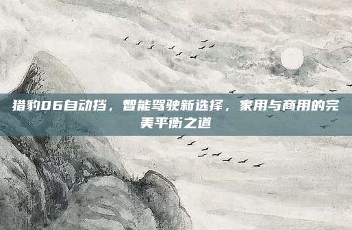猎豹06自动挡,智能驾驶新选择,家用与商用的完美平衡之道