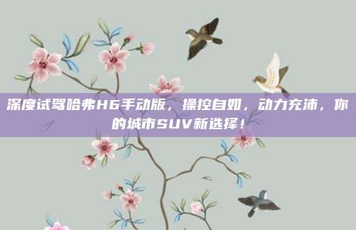 深度试驾哈弗H6手动版,操控自如,动力充沛,你的城市SUV新选择!