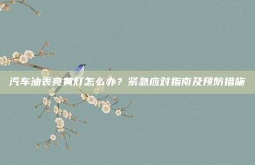 汽车油表亮黄灯怎么办?紧急应对指南及预防措施