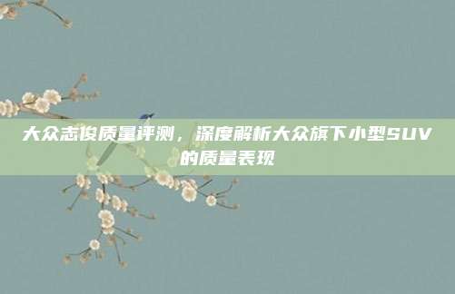 大众志俊质量评测,深度解析大众旗下小型SUV的质量表现
