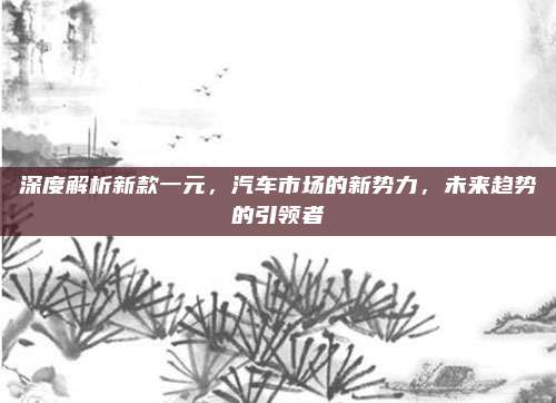 深度解析新款一元,汽车市场的新势力,未来趋势的引领者