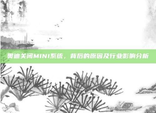 奥迪关闭MINI系统,背后的原因及行业影响分析