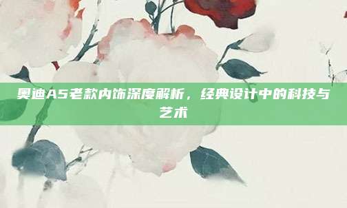 奥迪A5老款内饰深度解析,经典设计中的科技与艺术