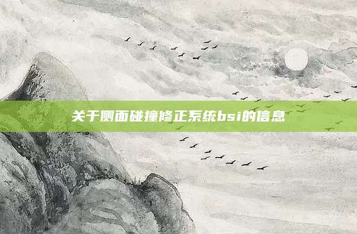 关于侧面碰撞修正系统bsi的信息