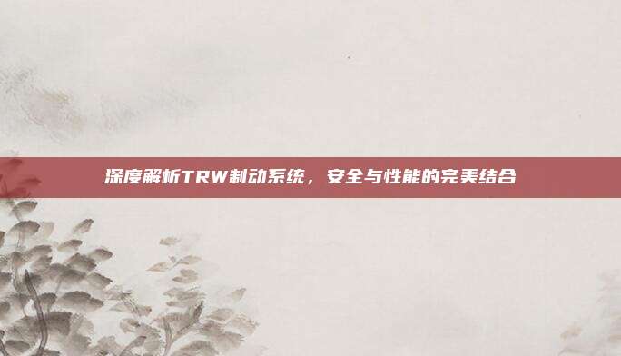 深度解析TRW制动系统,安全与性能的完美结合