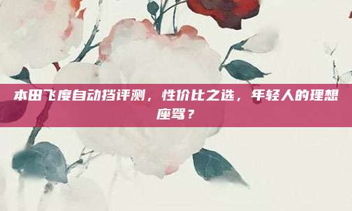 本田飞度自动挡评测,性价比之选,年轻人的理想座驾?