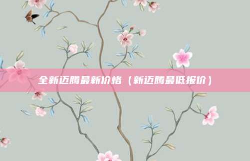 全新迈腾最新价格（新迈腾最低报价）