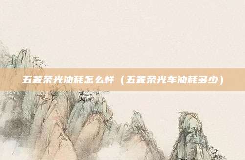 五菱荣光油耗怎么样(五菱荣光车油耗多少)