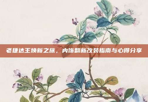 老捷达王焕新之旅,内饰翻新改装指南与心得分享