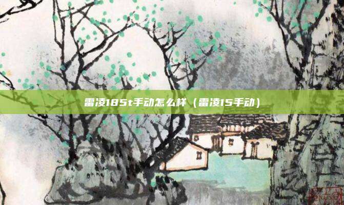 雷凌185t手动怎么样（雷凌15手动）