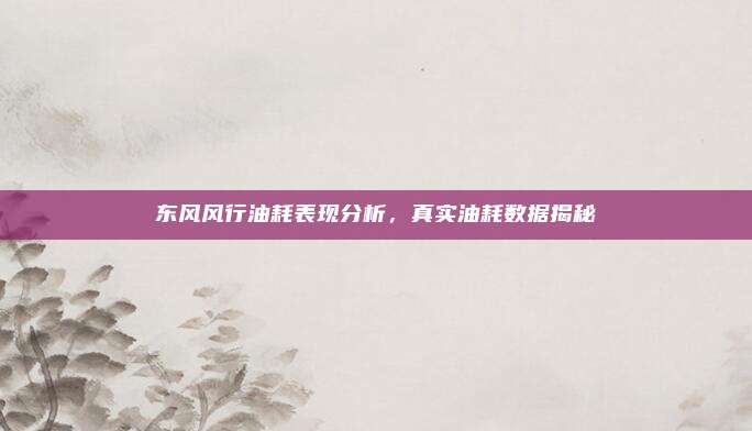 东风风行油耗表现分析,真实油耗数据揭秘