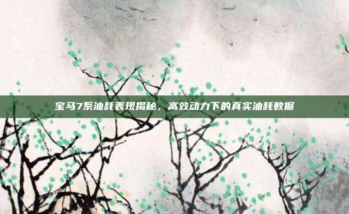 宝马7系油耗表现揭秘,高效动力下的真实油耗数据